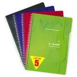 Calligraphe Clairefontaine 277C - Packung mit 5 Vokabelheften Calligraphe, mit Spiralbindung, DIN A4 21x29,7 cm, 90 Blatt kariert, 70g, farbig sortiert, 1 Pack