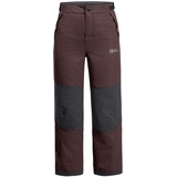 Jack Wolfskin Unisex Kinder Actamic 2l Ins Pants K Wanderhose, Boysenberry, 176 EU