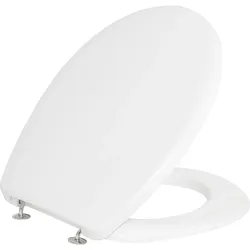 WC-Sitz Newo (Ausführung: WC-Sitz Villeroy Boch Newo Standard)