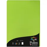 Pollen 10x Papier A4 Pollen 120g 50 Blatt - Minze 4215C