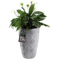 Kadax Blumentopf mit Einsatz und Griffen, aus Kunststoff, 58.5