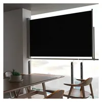 vidaXL Ausziehbare Seitenmarkise 140 x 300 cm schwarz