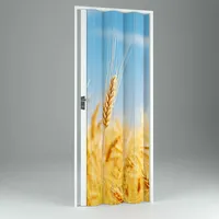 Innenraum Falttür Digitaldruck In Pvc Mod. Vera 102x214 Cm Grain