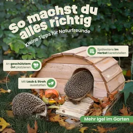 zooprinz Igelhaus braun