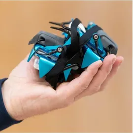 Blue Ice Harfang - Blue