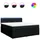 vidaXL Boxspringbett 180 x 200 cm Schwarz