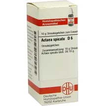 DHU-Arzneimittel ACTAEA SPICATA D 6