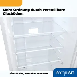 Exquisit KGC265-70-NF-040C Kühl-Gefrierkombination (253 l, 1810 mm hoch, Weiß)