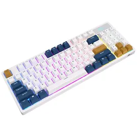 Royal Kludge RK89 Lemon Switch DE