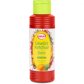 Hela Gewürz Ketchup DELIKAT 300,0 ml, 1 St.