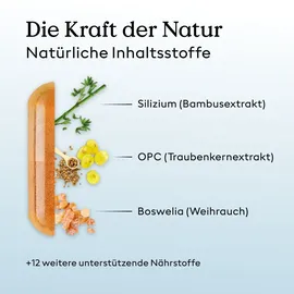 health routine Arthro Complete / Ernährungsbegleitende Unterstützung der Gelenke 1 St