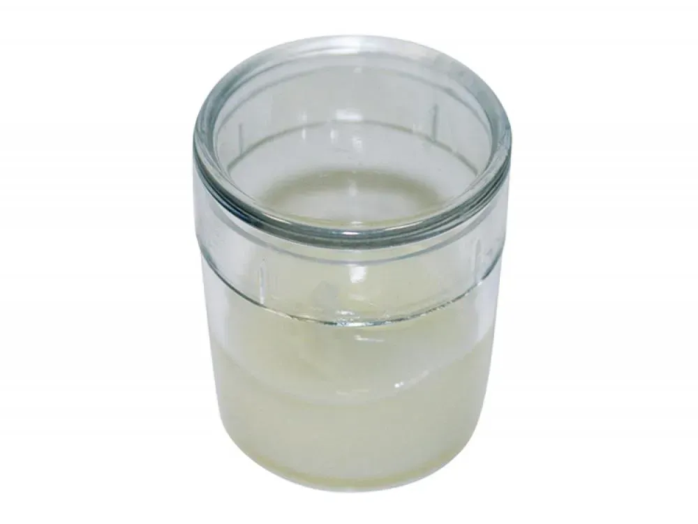 SKS Pumpenfett 10g Dose  Hochwertiges Spezialfett für Pumpendichtungen, sorgt für leichtgängiges Pumpen, schützt vor Verschleiß und verlängert die Lebensdauer