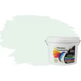 RyFo Colors Silikonharz Fassadenfarbe Lotuseffekt Trend Grüner Tee 3l - bunte Fassadenfarbe, weitere Grün Farbtöne und Größen erhältlich, Deckkraft Klasse 1