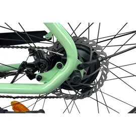 Llobe Town Compact 26 Zoll RH 46 cm Unisex grün