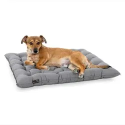 Doctor Bark Pointer Urban Kissen hellgrau M