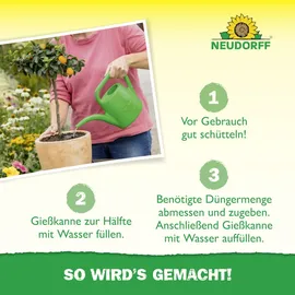 NEUDORFF Azet Zitrus- und Mediterranpflanzendünger 750 g