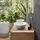 Villeroy & Boch Loop & Friends Aufsatzwaschtisch 56 x 38 cm 4A4701RW
