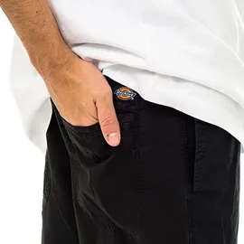 Dickies Pelican Rapids Shorts