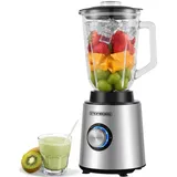 Steinborg SB-7020 Standmixer