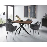 Hela Essgruppe »CLEO Tischgruppe Bestseller«, (Set, 5 tlg., 1 Tisch / 4 Stühle), Schalenstühle Tisch Wohnzimmer Esszimmer,