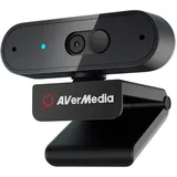 AVerMedia PW310P