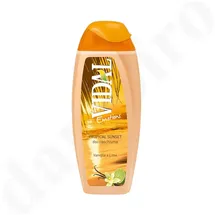 VIDALFORCE Vidal Emotions Duschgel 250 ml