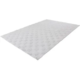 Kayoom Teppich KAYOOM "Botany 625", silber, B:80cm H:18mm L:150cm, Polyester, Teppiche, Teppich, weicher kuscheliger Kurzflor, Fellhaptik, alle Räume, viele Farben
