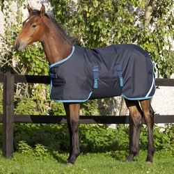 Horseware Amigo Foal Rug Turnout 200g - navy/electric blue - Fohlendecke, 152 - 167