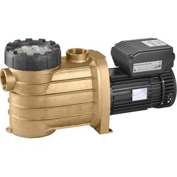 Energiesparpumpen BADU® Bronze Eco VS