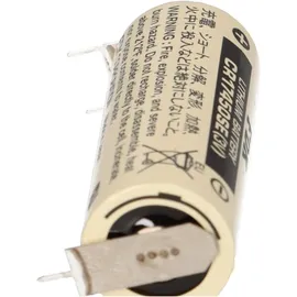 Akkuman.de Akkutechnik vom Fachmann Fdk Lithium 3V 2500 mAh 2 St.