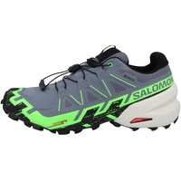 Salomon Speedcross 6 Gore-Tex Herren flint stone/green gecko/black 45