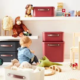 Rotho Aufbewahrungsbox Maloja 40 x 23,5 x 34 cm 1-tlg. rot