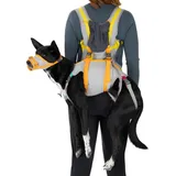 Ruffwear BackTrak Dog Evacuation Kit Hundezubehör Cloudburst Gray M