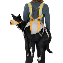 Ruffwear BackTrak Dog Evacuation Kit Hundezubehör Cloudburst Gray M