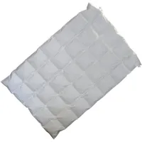 Betten Hofmann Sibiria exclusiv Daunendecke Daunenbett 5x7 155x220 sibirische Wildgans - Weiß