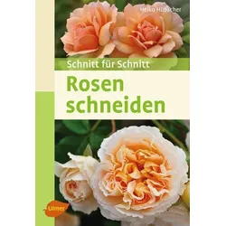 Rosen schneiden