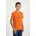 KID T-shirt carrot C463 152