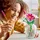 LEGO Botanicals Kosmeen 11514