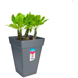 elho Loft Urban 37 Ø 37,0 x 51,3 cm Anthrazit