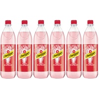 Schweppes Russian Wild Berry 6er Set 6x 1L inkl. Pfand MEHRWEG