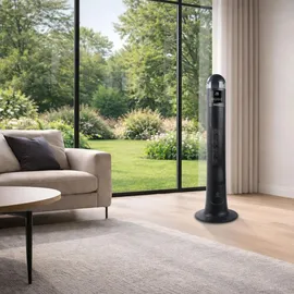 Webber THERMOVENTILATOR 2200 W Schwarz