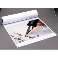 Dots Plotterpapier Preprint 80 g/qm 1067,0 mm x 50,0