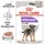 Royal Canin Digestive Care 12 x 85 g