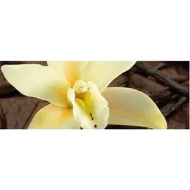 Sebastian Professional Cellophanes vanilla blonde 300 ml