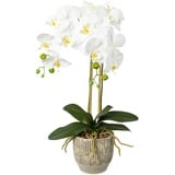 Creativ-green Kunstblume Orchidee, Phalaenopsis, weiß, im Keramiktopf, 55 cm,