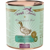 Terra Canis Ente mit Kürbis, Erdbeere und Holunder 12 x 800 g