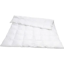 Traumina Silk de Luxe Daune Kassettendecke WK 4 (Größe: 240x220 cm*)