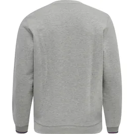 hummel hmlIC DAYTON SWEATSHIRT Grau M