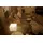 Philips Hue White E14 470 lm