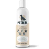 PETICAL Oat Meal Hundeshampoo I 100% vegan & ph-neutral, für alle Fellarten, mit Aloe-Vera & Vitamin-E für mehr Glanz, gegen Juckreiz & Geruch, Hund-Shampoo Welpen Langhaar Hundepflege Dog Grooming